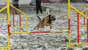imagesCA3A9374